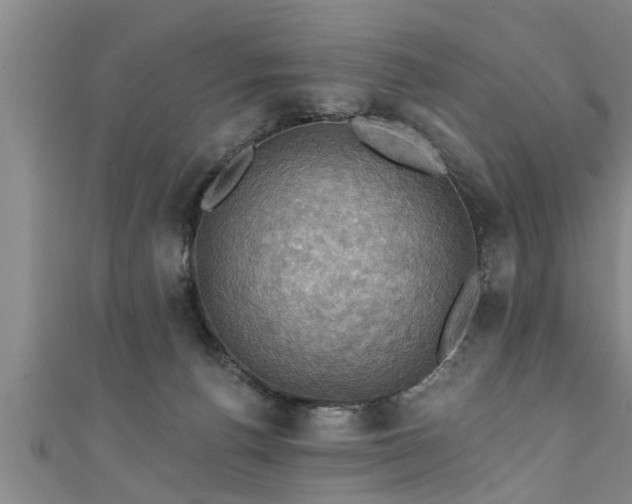 X0000111360176200907171211