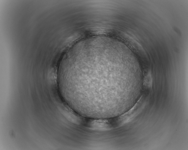 X0000111360179200907171211