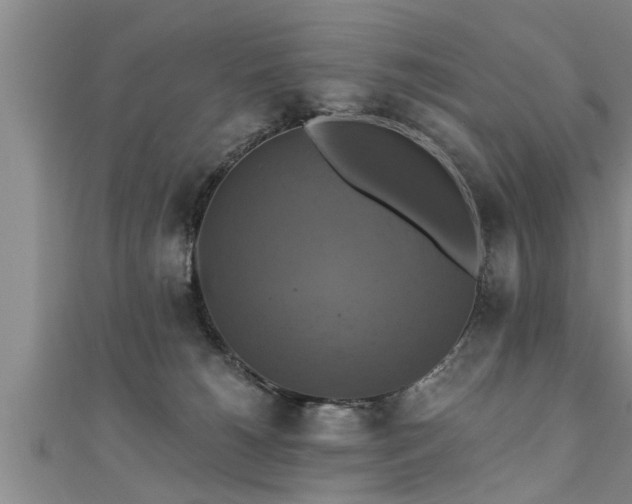 X0000111360180200907171211