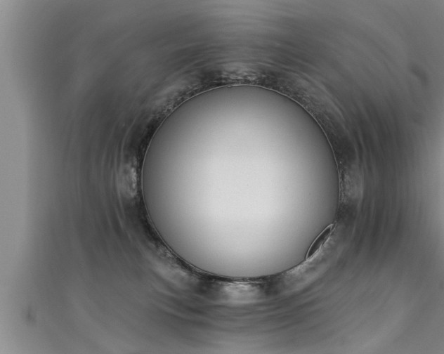 X0000111360183200907171211