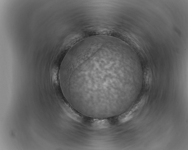 X0000111360185200907171211