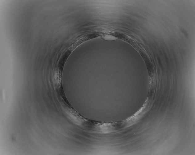 X0000111360186200907171211