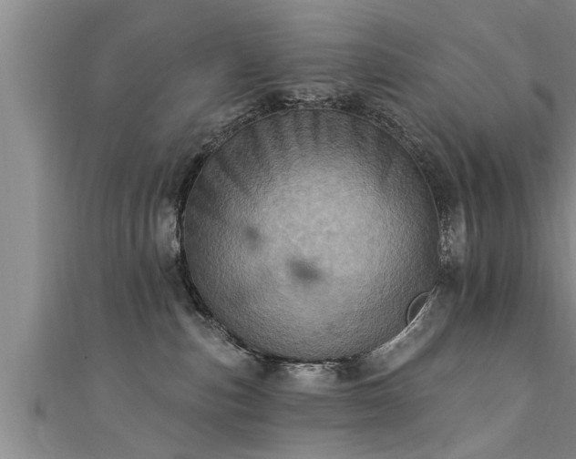 X0000111360187200907171211