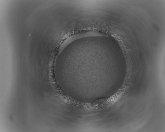 X0000111360192200907171211