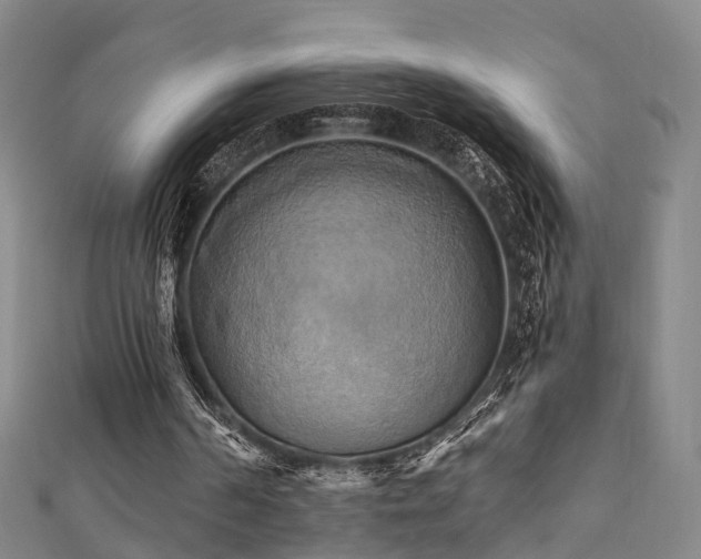 X0000111360194200907171211