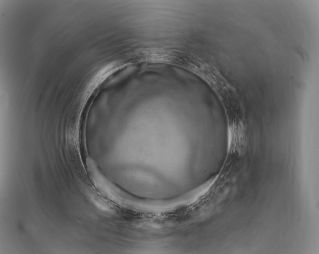X0000111360195200907171211