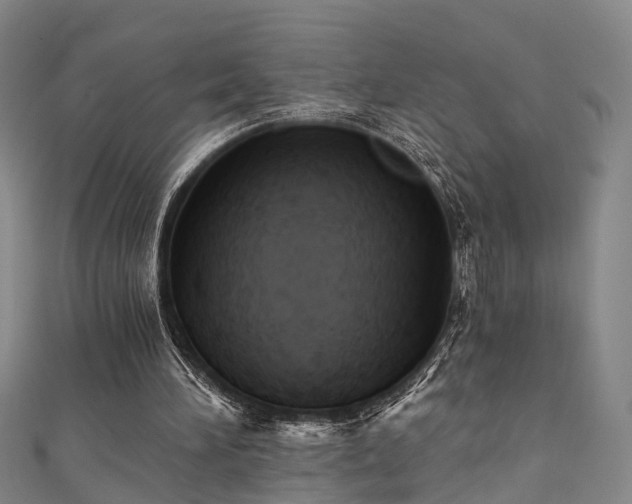 X0000111360196200907171211