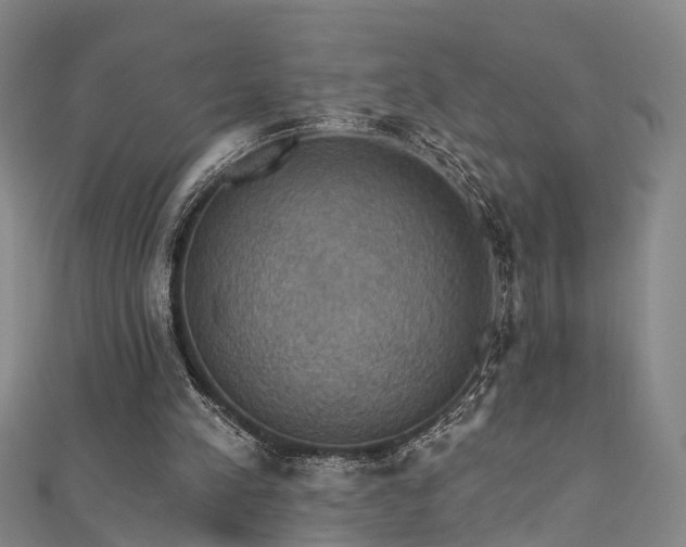 X0000111360197200907171211