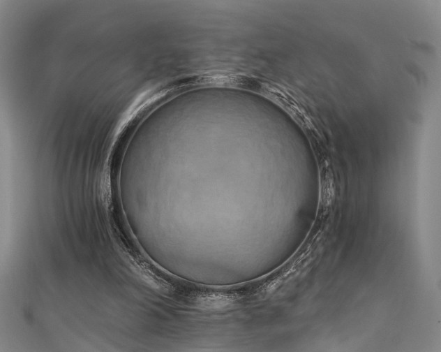 X0000111360198200907171211