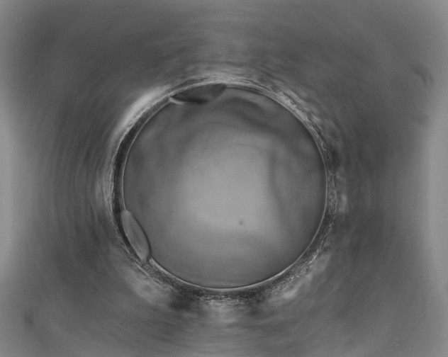 X0000111360199200907171211