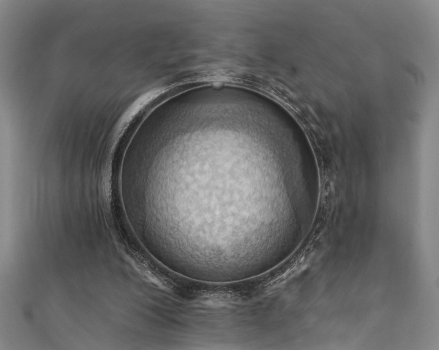 X0000111360200200907171211
