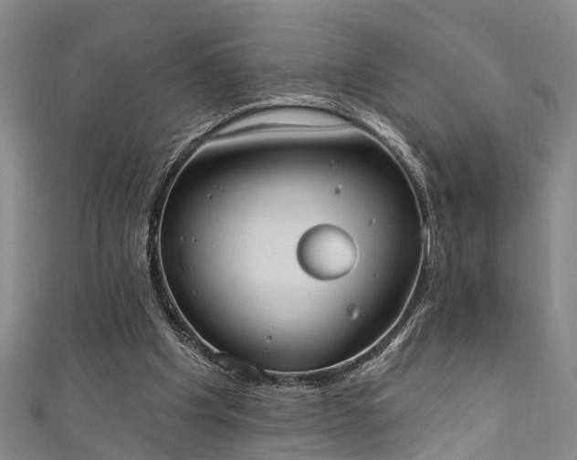 X0000111360201200907171211