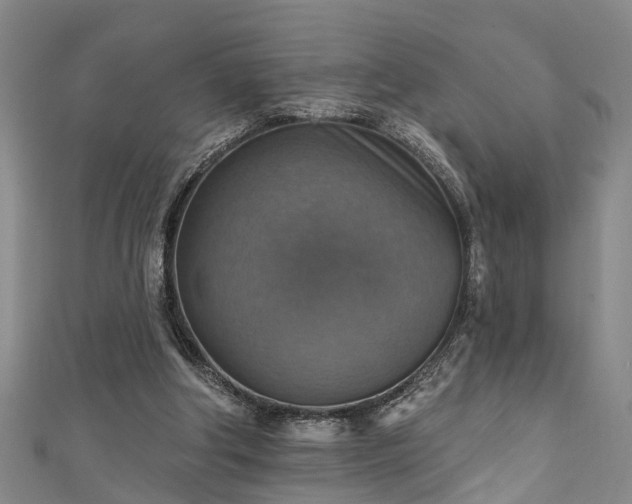 X0000111360202200907171211