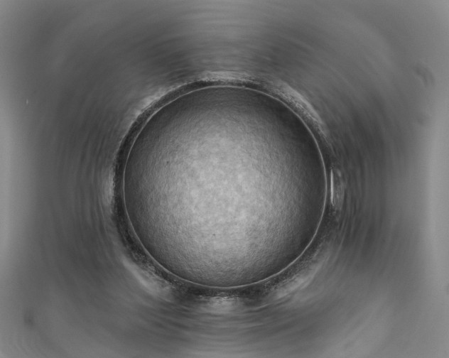 X0000111360204200907171211