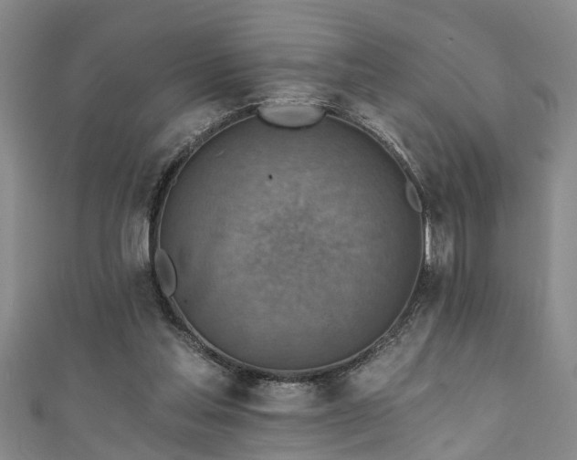 X0000111360205200907171211