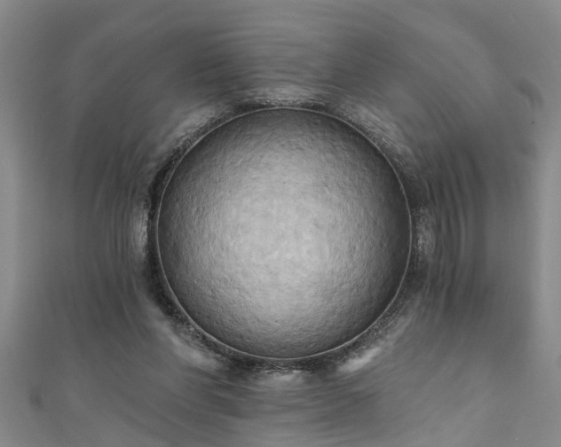 X0000111360206200907171211