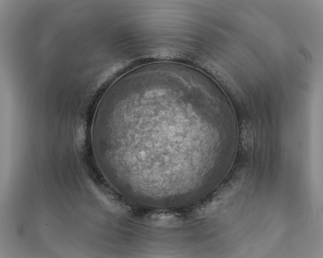 X0000111360208200907171211