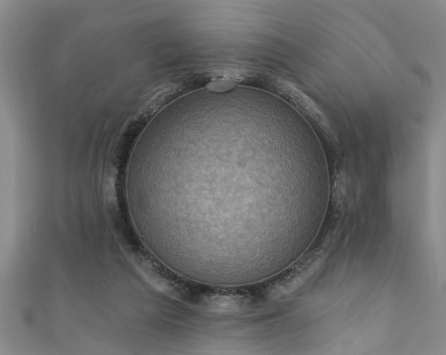 X0000111360209200907171211