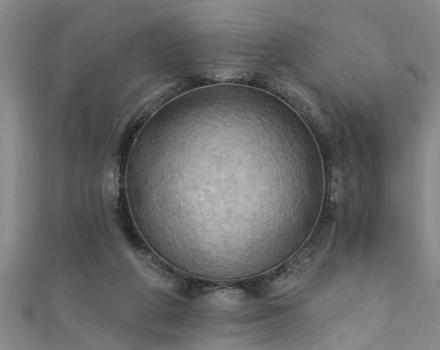 X0000111360210200907171211
