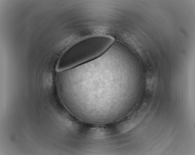 X0000111360211200907171211