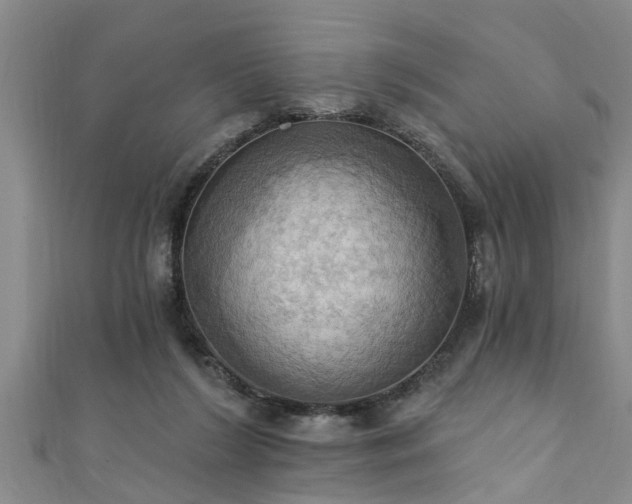 X0000111360212200907171211
