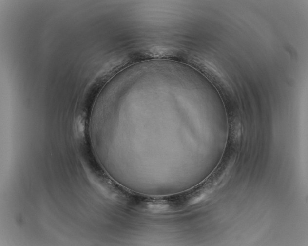 X0000111360214200907171211