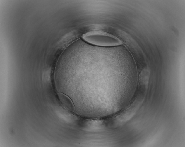 X0000111360217200907171211