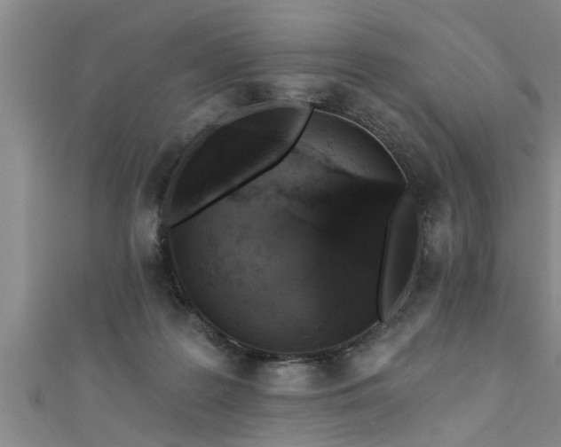 X0000111360219200907171210