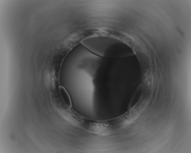 X0000111360223200907171210