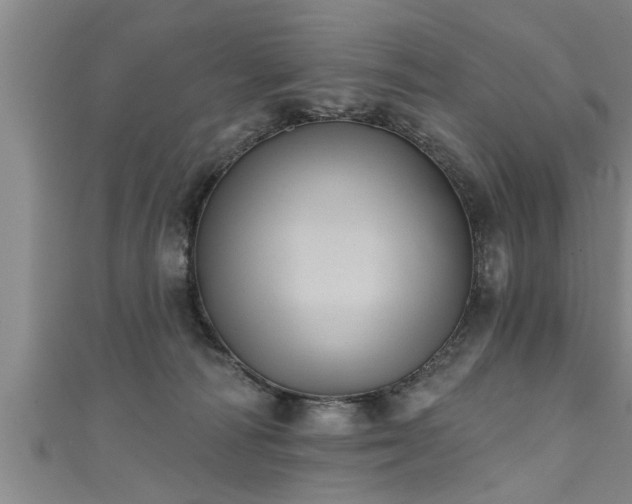 X0000111360226200907171210