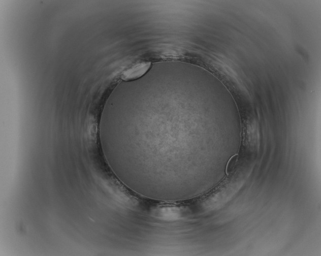 X0000111360228200907171210