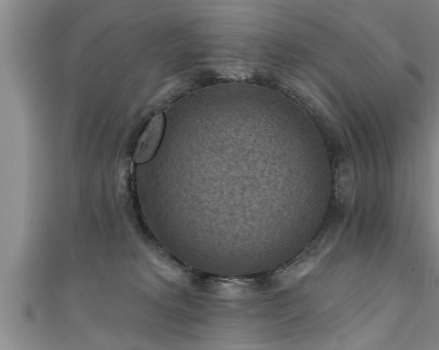 X0000111360229200907171210