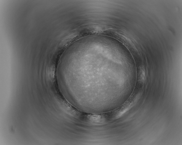 X0000111360230200907171210