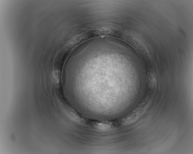 X0000111360232200907171210