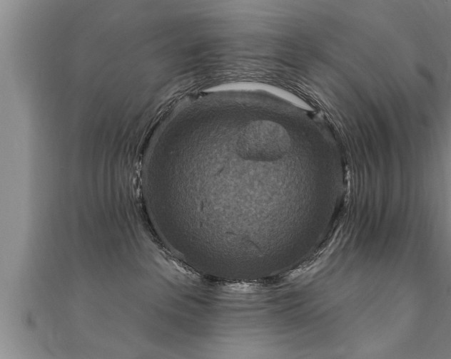 X0000111360237200907171210