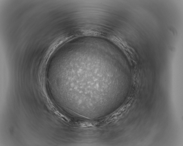 X0000111360241200907171210