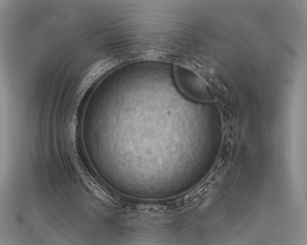 X0000111360242200907171210