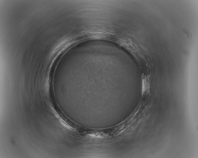 X0000111360243200907171210