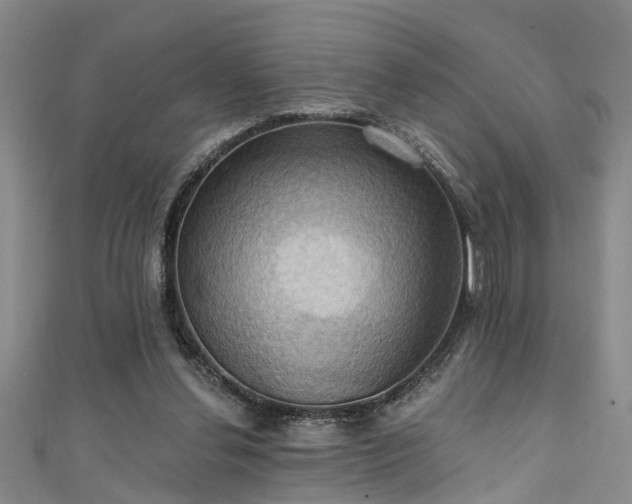 X0000111360252200907171210