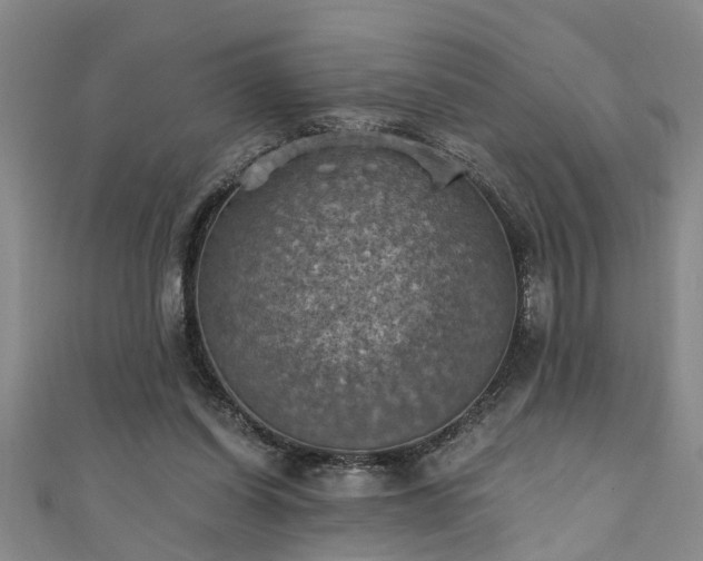 X0000111360254200907171210