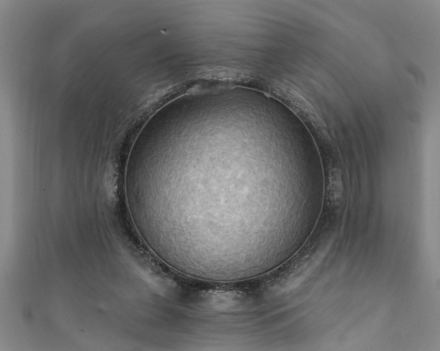 X0000111360255200907171210