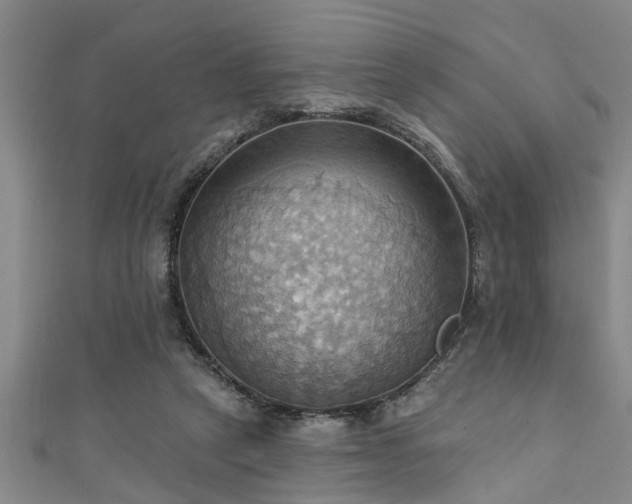 X0000111360257200907171210
