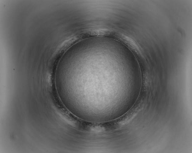X0000111360258200907171210