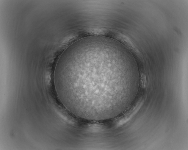 X0000111360259200907171210