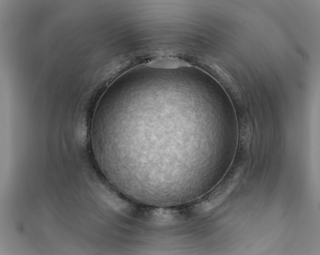 X0000111360261200907171210