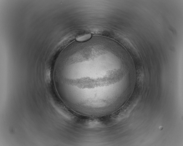 X0000111360262200907171210