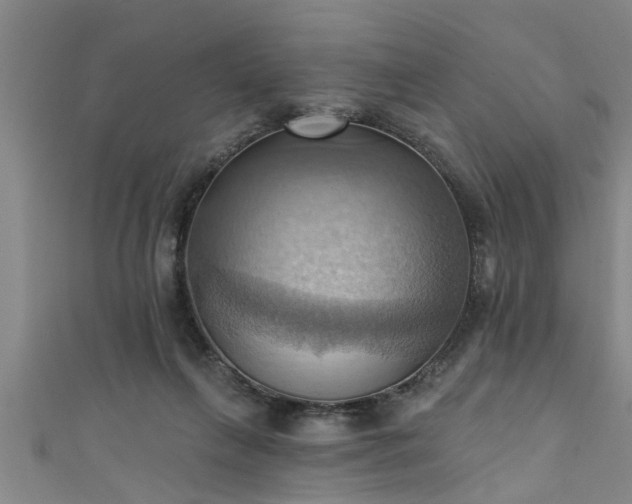 X0000111360263200907171210