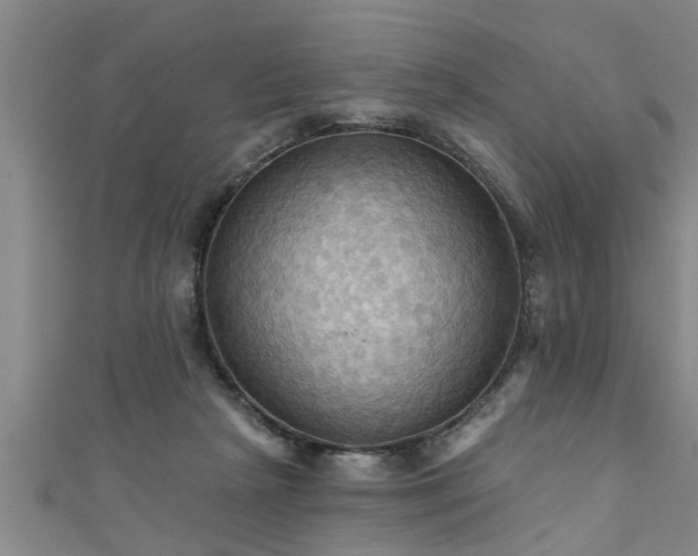 X0000111360265200907171210