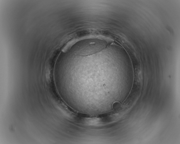 X0000111360266200907171210