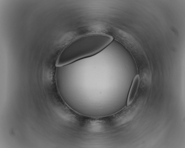 X0000111360268200907171210